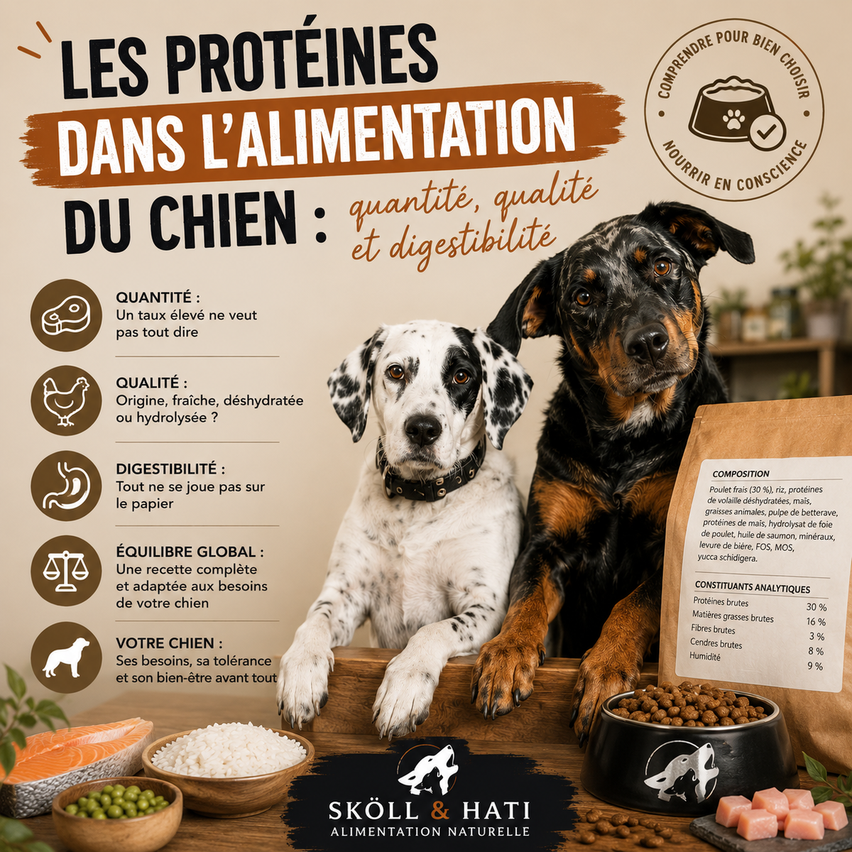 Les protéines dans l'alimentation du chien